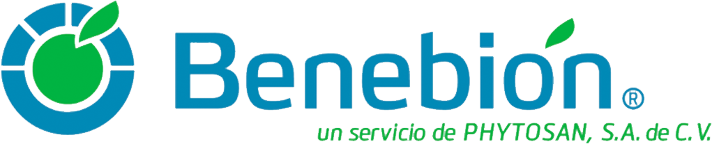 Logo 2