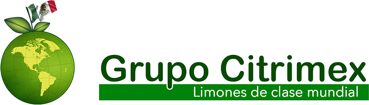 Logo 4