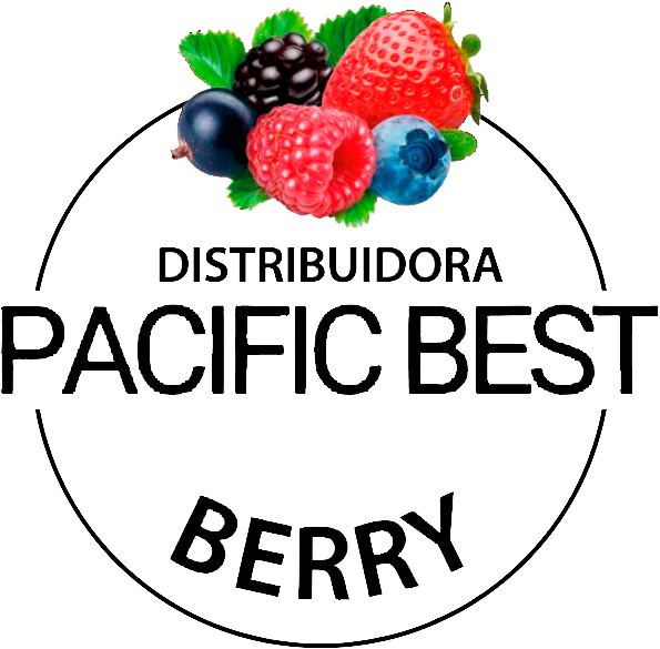 Logo 5