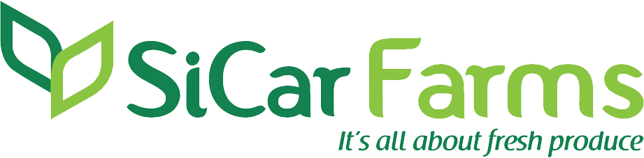 Logo 5